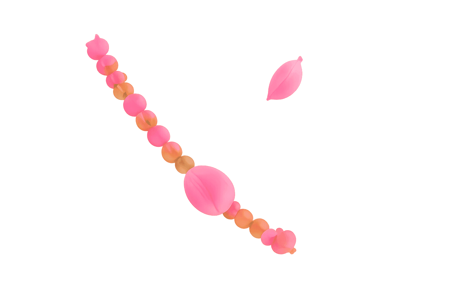 Decorative Top Right